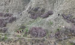 Diyarbakır'da 18 gündür kayıp engelli adamı arama çalışmaları sürüyor