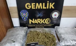 Gemlik’te 3 Kilo 700 Gram Esrar Ele Geçirildi