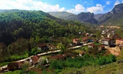 İnegöl Hilmiye'de 2 Tarla Satışa Çıkıyor