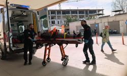 İnegöl'de ceviz ağacından düşen yaşlı adam ağır yaralandı!