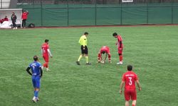 Maç esnasında top çarpan martıya kalp masajı yapıldı