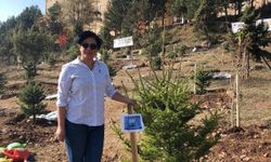 Oğlunun acısına yüreği dayanmadı! Mezar başında kalp krizi geçiren anne hayatını kaybetti