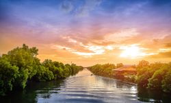 Rüyada Irmak Görmek Ne Anlama Gelir? Rüyada Nehir Ne Demek? Dini Rüya