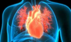 Soframızdaki Tehlike Büyüyor Mu? Uzmanlar Kalp Ve Damar Hastalıklarını Tetikleyen Gıdaları Açıkladı!