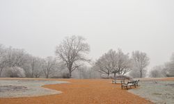 Şubat  Ne Demek, Şubat Ayı Neden Önemlidir? Tarihi, Kültürü, Vergileriyle 2026 Şubat Takvimi