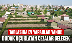 Tarlasına ev yapanlar yandı! Dudak uçuklatan cezalar gelecek