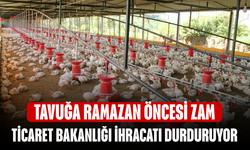 Tavuğa Ramazan öncesi zam! Ticaret Bakanlığı İhracatı Durduruyor