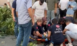 Üzerine ağaç devrilen oyuncu İbrahim Yıldız hayatını kaybetti