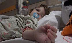 Yalova’da komşu kavgasında yaralanan 14 aylık bebek taburcu edildi