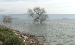 Yaren leyleğin köyü de yükselen göl sularından etkilendi!