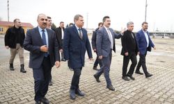 Yenişehir'e yeniden hayvan pazarı açılıyor!