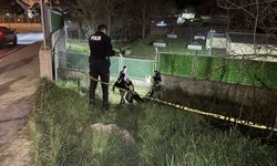 Yol kenarında ölü bulundu