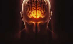 Zihinsel Olarak Yaşlanmış Olabilirsiniz, Zihinsel Yaşlanma Nedir? Uzmanlar Beyin Sağlığı İçin Uyarıyor