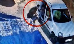 13 kez aynı iş yerinden hırsızlık yaptı