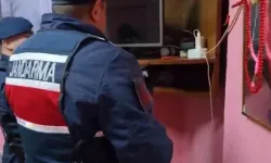 5 İlde Organize Suç Operasyonu: 65 Gözaltı