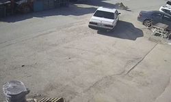 Bolu'da köpeğin üzerinden geçen sürücü gözaltına alındı