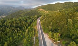 “Bolu Dağı değil, Düzce Dağı” çıkışı amacına ulaştı