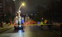 Bariyerlere Çarpan Motosiklet Sürücüsü Hayatını Kaybetti