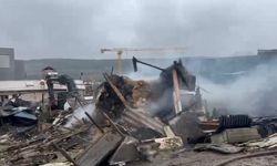 Ahır alevlere teslim oldu! 460 hayvan telef oldu