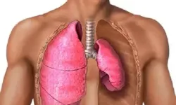 Akciğerde Su Toplaması Nedir? Neden Olur ve Hangi Belirtilerle Kendini Gösterir?