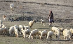 Bursa’da aile içi dehşet! Yeğenini öldürdü, 2 kişiyi yaraladı