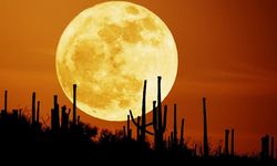 Ay neden bazen sarı görünür?