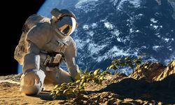 Ay’da Tarım Gerçek Olabilir Mi? Bilim İnsanları Patatesle Uzayda Gıda Üretimi İçin Umut Verici Sonuçlar Elde Etti