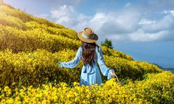 Bahara Merhaba Günü | 01 Mart Ne Günü? 01 Mart Dünyada ve Türkiye’de Ne Günü? 01 Mart Ne Burcu?