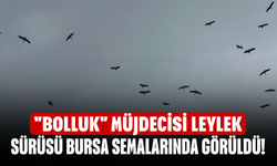 "Bolluk" müjdecisi leylek sürüsü Bursa semalarında görüldü!