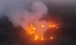 Bolu’da otluk alanda çıkan yangın büyümeden söndürüldü