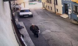 Bursa’da Alkollü Sürücünün Çarptığı Yaşlı Kadın Hayatını Kaybetti