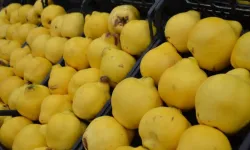 Bursa'da Ayva Fiyatları Rekora Koşuyor: Kilosu 300 Liraya Dayandı