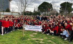 Bursa'da ilköğretim öğrencileri selvi fidanı diktiler