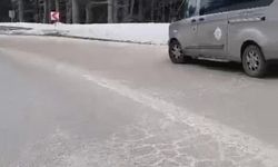 Bursa'da tilkiye çarpan otomobil sürücüsü yaralı halde bırakıp kaçtı!