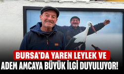Bursa'da Yaren Leylek ve Adem amcaya büyük ilgi duyuluyor!