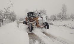 Bursa'nın yüksek kesimlerine kar yağıyor!