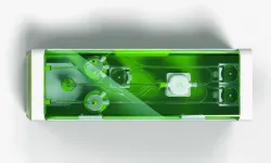 Dünyanın İlk “Canlı” Veri Merkezi Tanıtıldı! İnsan Beyin Hücreleriyle Çalışan Bu Teknoloji Bilgisayar Dünyasını Değiştir