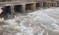 Dere coştu, İznik Gölü’ne umut oldu!