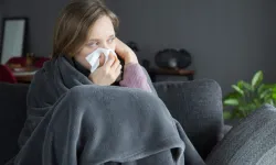 Domuz gribi vakalarında artış