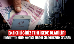 Emekliliğiniz Tehlikede Olabilir! E-Devlet’ten Hemen Kontrol Etmeniz Gereken Kritik Detaylar