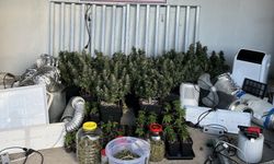 Evleri uyuşturucu serasına, tuvaletleri laboratuvara çevirmişler! 36 gözaltı