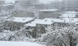 Hakkari’de kar yağışı ulaşımı zorlaştırdı