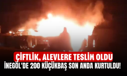 İnegöl'de 200 küçükbaş son anda kurtuldu! Çiftlik, alevlere teslim oldu