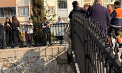 İnegöl’de Kanala Düşen Koyun Ölü Bulundu