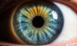İris Nedir? Gözümüze Rengini Veren Bu Halka Ne İşe Yarar?