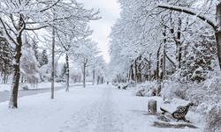 Kar Yağarken Hava Neden Sessizleşir?