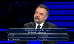 Kim Milyoner Olmak İster’de merak uyandıran soru! Hangi hayvan dört ayağıyla zıplayamaz?