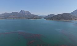 Kozan Barajı doldu! Yağışlarla birlikte doluluk oranı yüzde 60’a yükseldi