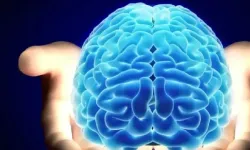 Nörobilim Uzmanı Anlattı! Beyni Genç Ve Sağlıklı Tutmanın 6 Basit Yolu