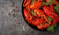 Rüyada Istakoz Görmek Ne Anlama Gelir? Şans, Para ve Başarıya İşaret Ediyor